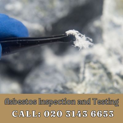 Comprehensive Asbestos Inspection and Testing Services in Palmers Green